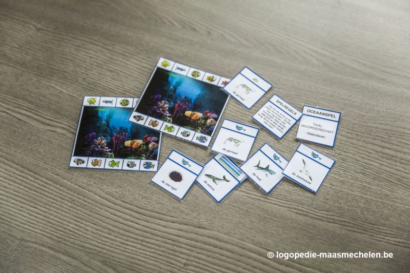 Het Oceaanspel, een bordspel dat in de taaltherapie gebruikt wordt.